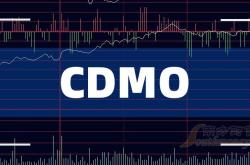 百人会2024年度5个重大课题涵盖四大核心领域