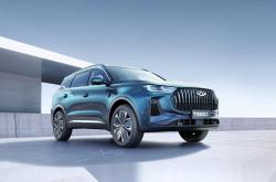 中国人保携手嘉兴道魔汽车线上团购会