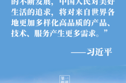 大大的MEGA，装着“疯狂”的理想