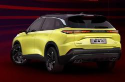 上市丨购车0压力、产品超硬核 新魔方青春版仅售9.99万元