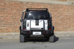 捷途旅行者银龙之翼上市 售价21.99万