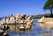 中国人保携手陕西德丰吉利汽车购车嘉年华