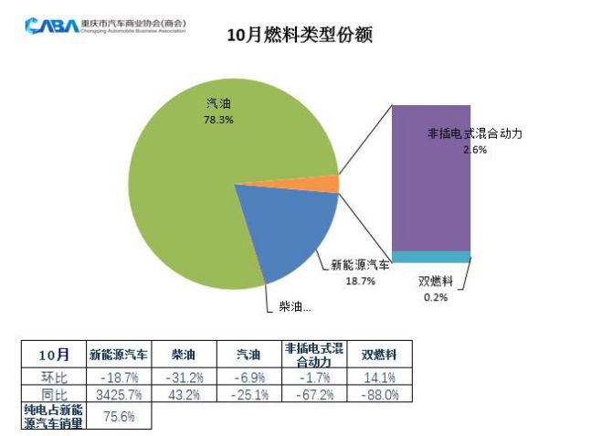 2024年1月新能源与燃油车型销量排行榜 | 盖世汽车国内乘用车终端销量数据